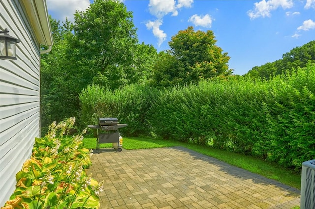 1009 Roselawn Ave, Harmony Twp, PA 15003 - view of patio featuring a grill