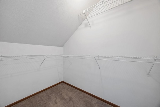 2692 Hunters Point Dr, Franklin Park, PA 15090 - spacious closet with carpet floors and vaulted ceiling