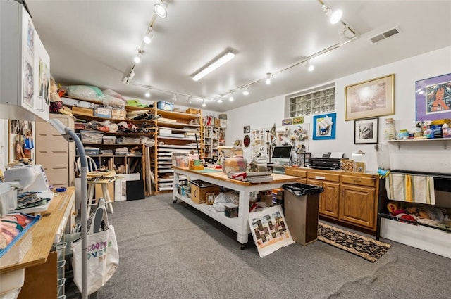 303 Schenley Rd, Squirrel Hill, PA 15217 - miscellaneous room featuring track lighting, carpet, and a workshop area