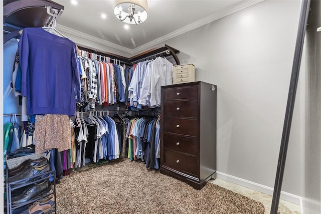 108 Oak Pointe Dr, Monroeville, PA 15146 - spacious closet with a chandelier