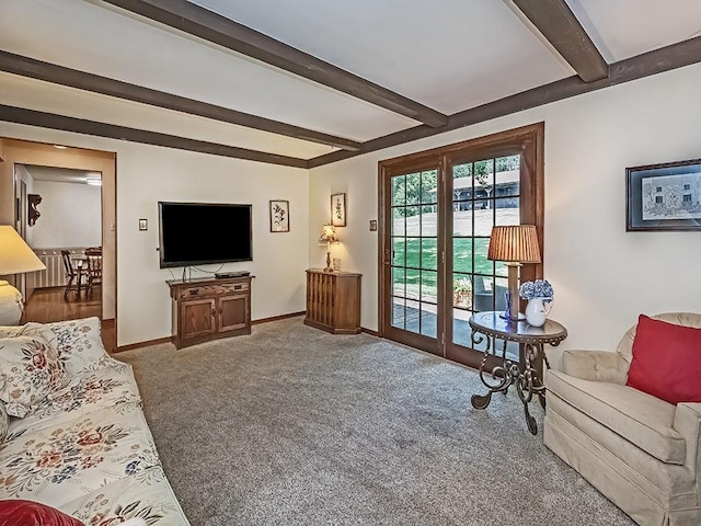 141 Clover Ln, Pine Twp, PA 15044 - carpeted living area with beam ceiling and baseboards