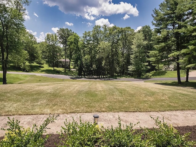 141 Clover Ln, Pine Twp, PA 15044 - view of community with a yard