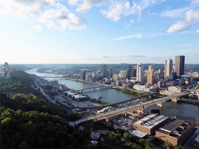410 Bailey Ave, Mt Washington, PA 15211 - view of urban area featuring a notable bridge and a large body of water