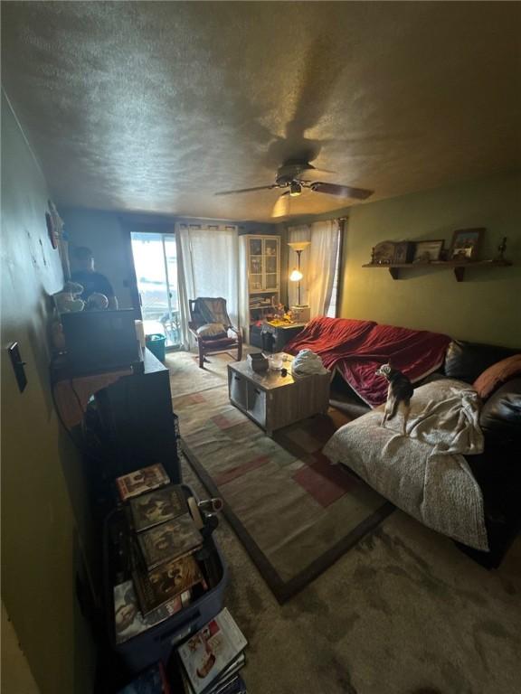 534 Independence Dr, Clairton, PA 15025 - living area with carpet floors, ceiling fan, and a textured ceiling