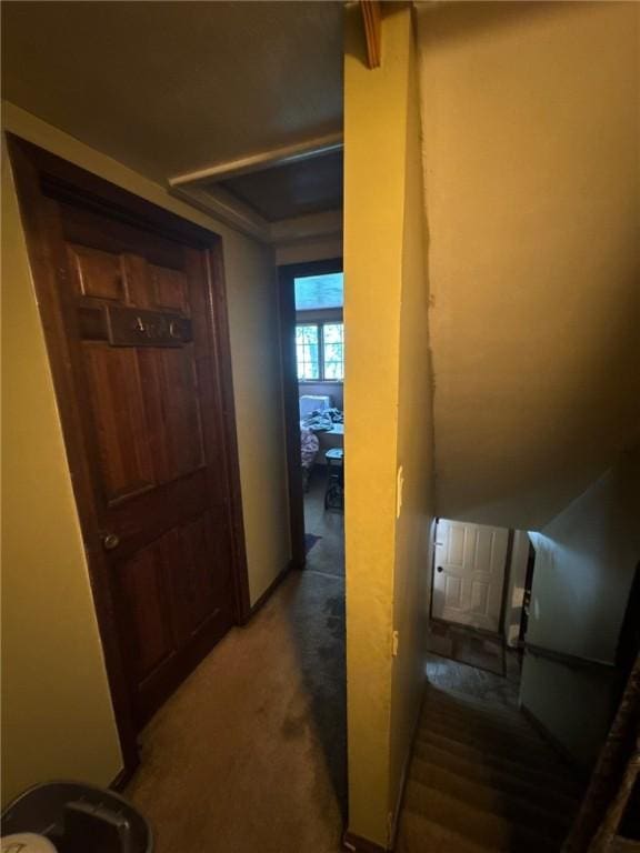 534 Independence Dr, Clairton, PA 15025 - corridor with carpet floors