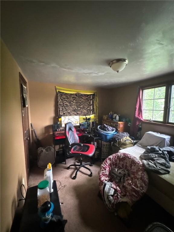 534 Independence Dr, Clairton, PA 15025 - bedroom with carpet