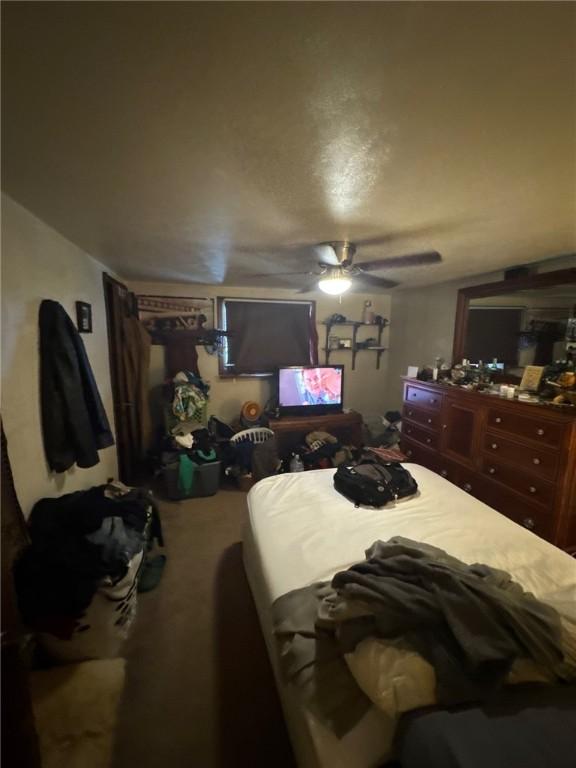 534 Independence Dr, Clairton, PA 15025 - bedroom with a ceiling fan and carpet floors