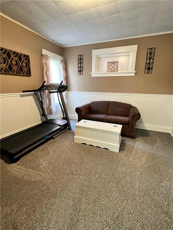1220 Negley St, Farrell, PA 16121 - workout room featuring ornamental molding, a wainscoted wall, and carpet floors