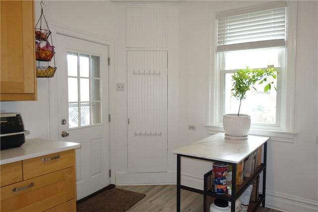 540 Mifflin Ave, Regent Square, PA 15221 - doorway featuring light wood-style floors