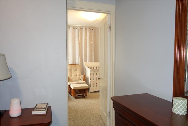 540 Mifflin Ave, Regent Square, PA 15221 - hallway with carpet flooring