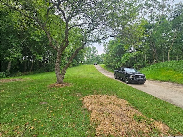 352 Hartzell School Rd, Marion Twp, PA 16123 - view of grassy yard with concrete driveway