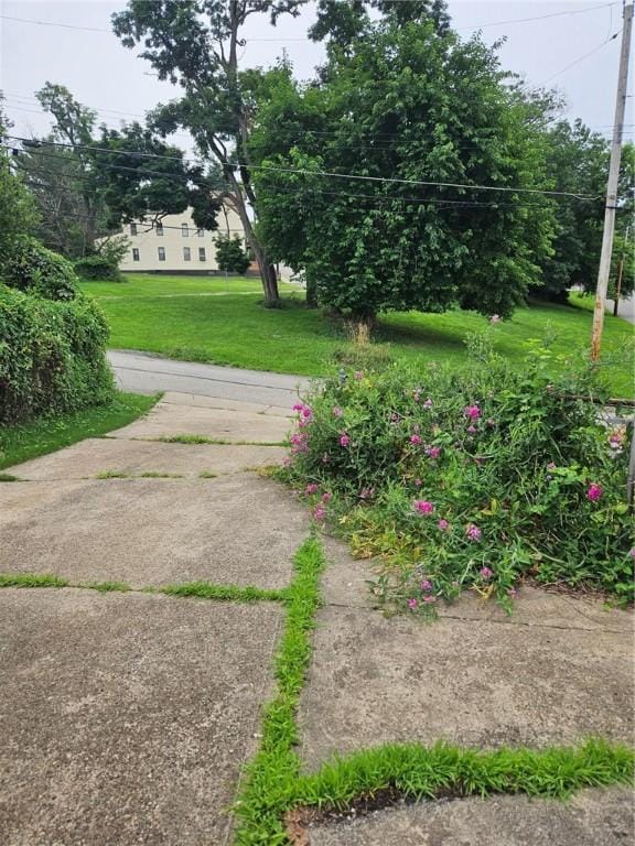 2945 Devlin St, Arlington, PA 15210 - view of grassy yard