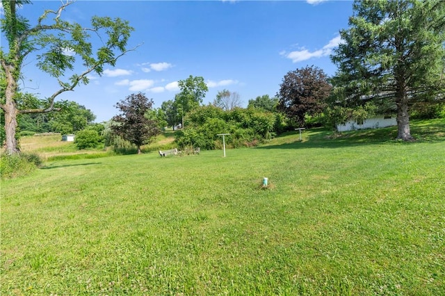 224 E End, Bullskin Twp, PA 15425 - view of grassy yard