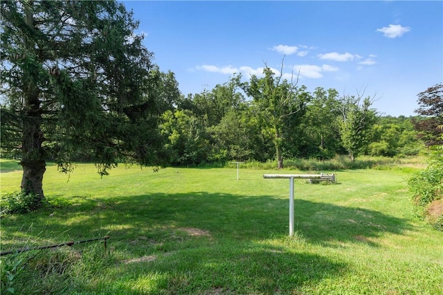 224 E End, Bullskin Twp, PA 15425 - view of green lawn