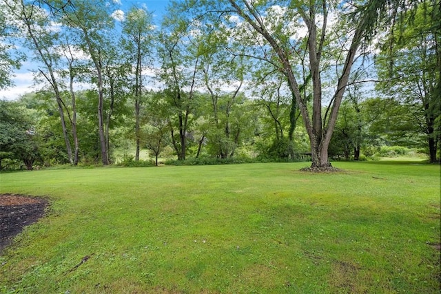 5517 Gibson Rd, Richland, PA 15044 - view of green lawn
