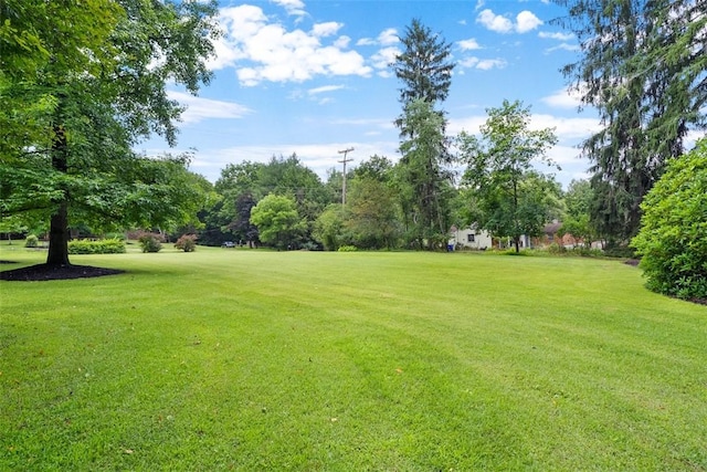 5517 Gibson Rd, Richland, PA 15044 - view of grassy yard with view of scattered trees