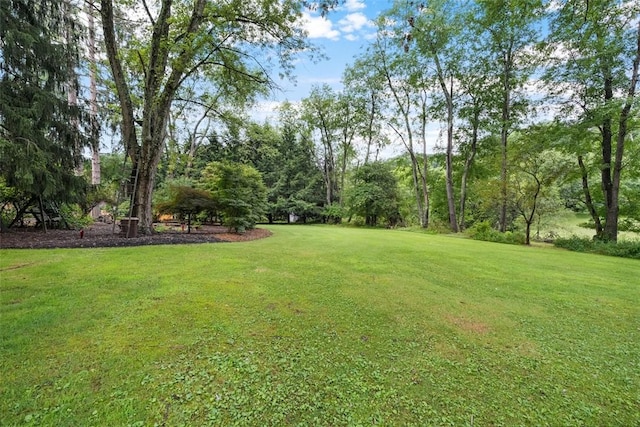 5517 Gibson Rd, Richland, PA 15044 - view of grassy yard