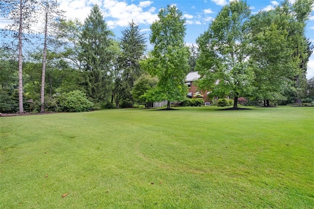 5517 Gibson Rd, Richland, PA 15044 - view of grassy yard