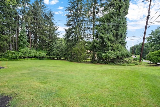 5517 Gibson Rd, Richland, PA 15044 - view of grassy yard