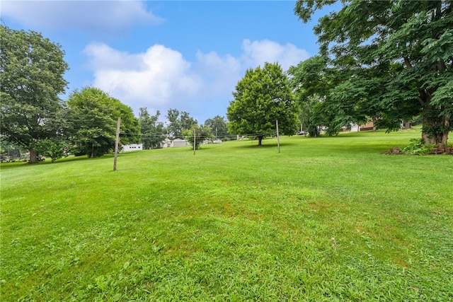 131 Pershing Ave, Bullskin Twp, PA 15666 - photo 28