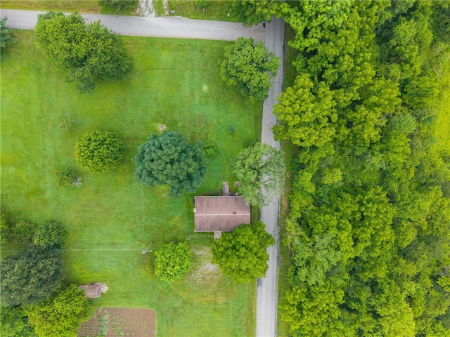 131 Pershing Ave, Bullskin Twp, PA 15666 - photo 29