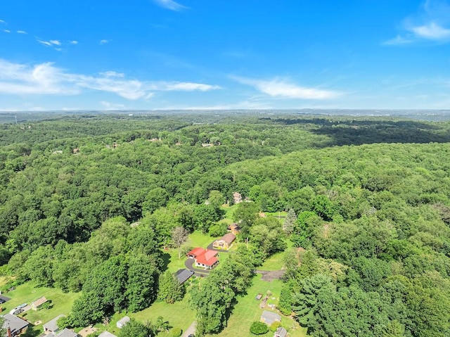 105 Eakin Dr, Brighton Twp, PA 15009 - bird's eye view of a forest