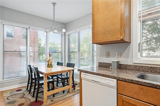 30 S 18th St, South Side, PA 15203 - kitchen with dishwasher, light wood-style flooring, plenty of natural light, and brown cabinetry