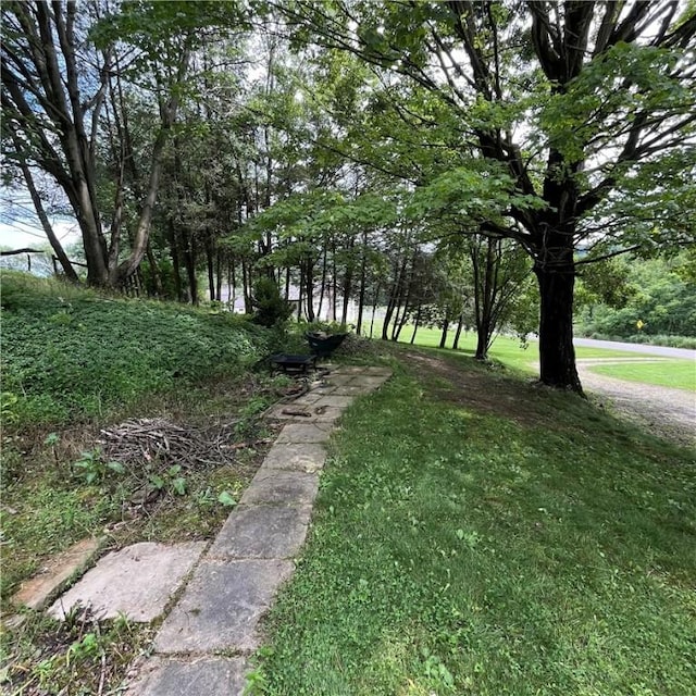 503 Bagdad Rd, Allegheny Twp, PA 15656 - view of grassy yard