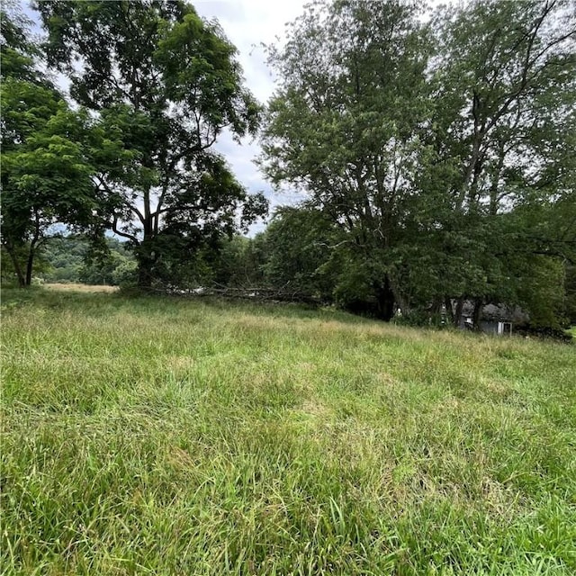 503 Bagdad Rd, Allegheny Twp, PA 15656 - view of yard