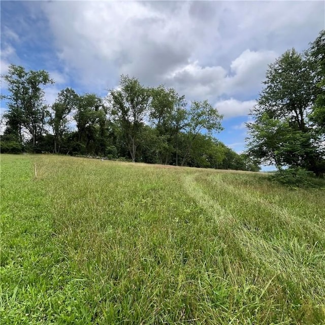 503 Bagdad Rd, Allegheny Twp, PA 15656 - view of yard
