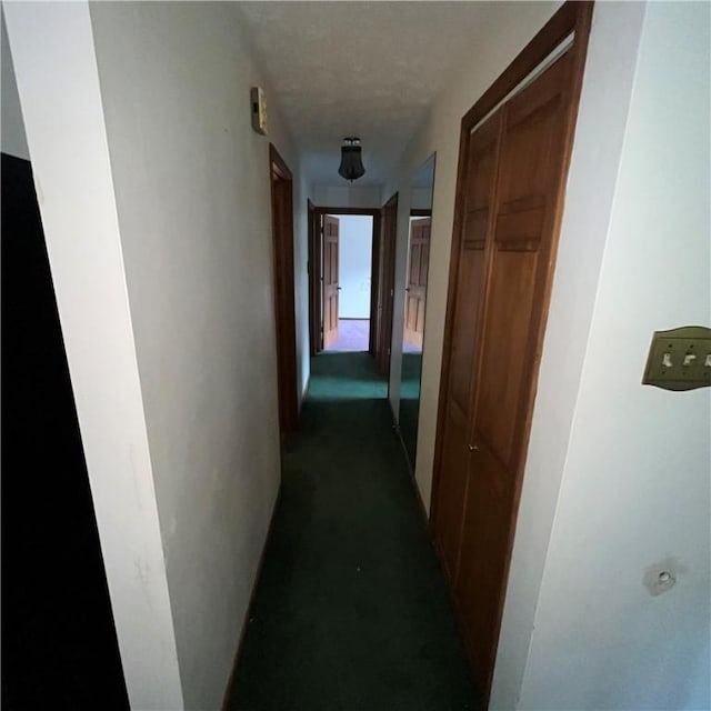 503 Bagdad Rd, Allegheny Twp, PA 15656 - view of hallway