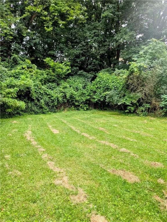 1819 Scott St, Mckeesport, PA 15132 - view of green lawn with a forest view