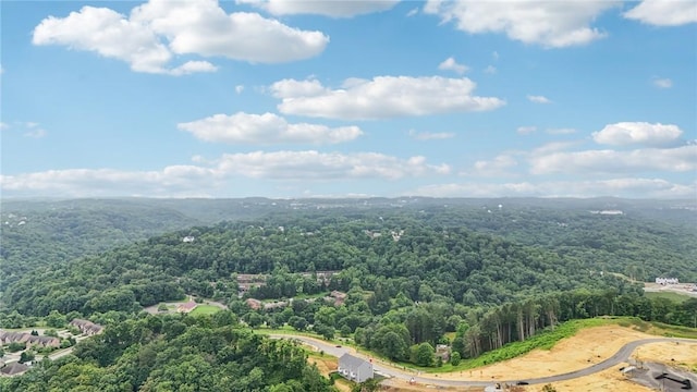 118 River Ridge Drive, Moon/Crescent Twp, PA 15108 - bird's eye view of a forest