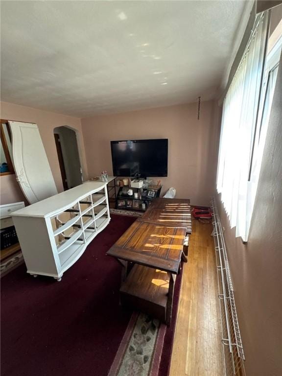 155 Roosevelt Ave, Stowe Twp, PA 15136 - living room featuring arched walkways and dark wood-style floors
