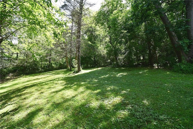 226 Johnston St, Cecil, PA 15057 - view of green lawn with a forest view