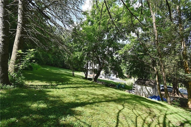 226 Johnston St, Cecil, PA 15057 - view of grassy yard with a storage shed