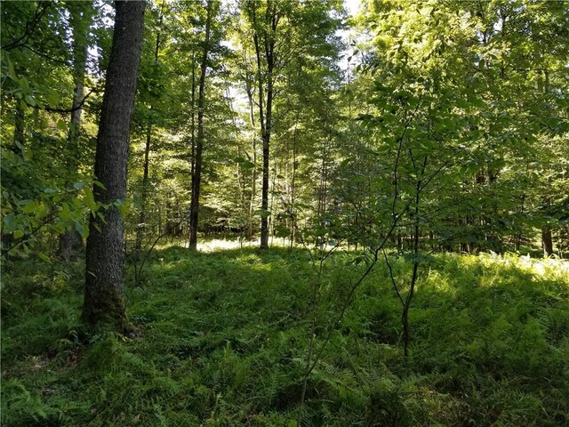 1446 Blue Ridge Rd, Pa, PA 15828 - photo 15