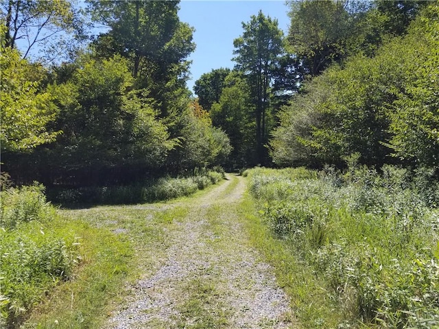1446 Blue Ridge Rd, Pa, PA 15828 - photo 16