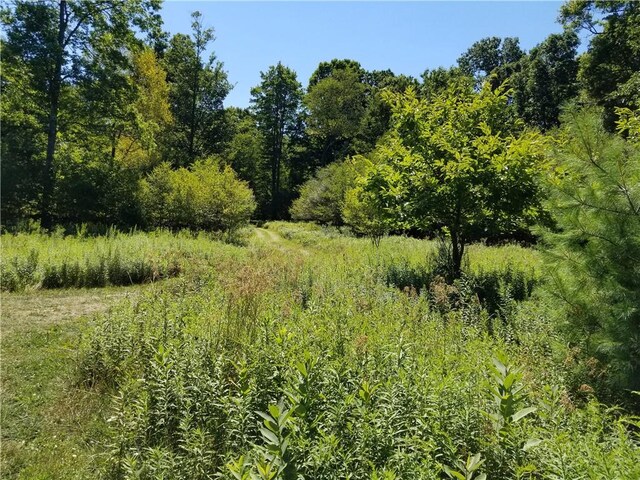 1446 Blue Ridge Rd, Pa, PA 15828 - photo 17