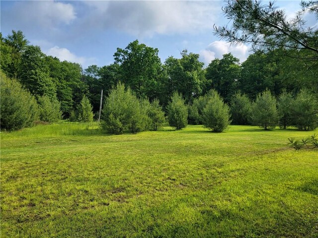 1446 Blue Ridge Rd, Pa, PA 15828 - photo 21