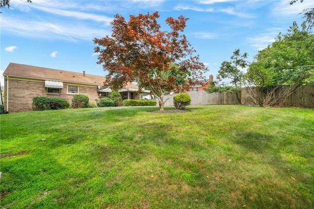 315 Olive St, Mccandless, PA 15237 - view of yard