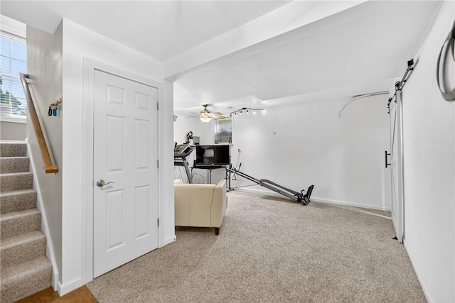 1049 Waterford Ct E, North Strabane, PA 15317 - exercise room featuring carpet and a ceiling fan