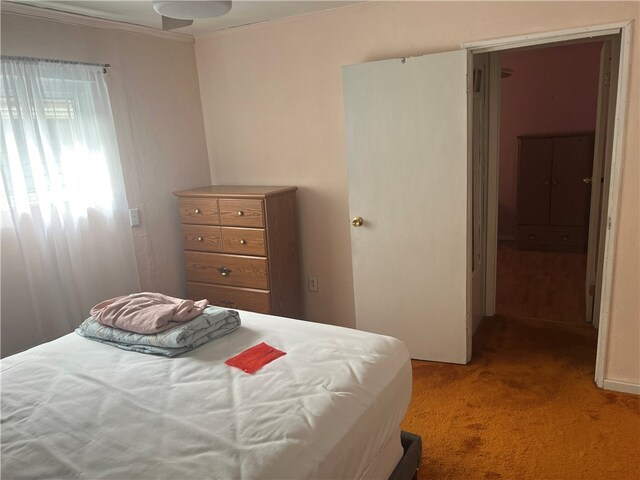 121 W Midland Ave, Midland Boro, PA 15059 - bedroom with light carpet and ornamental molding