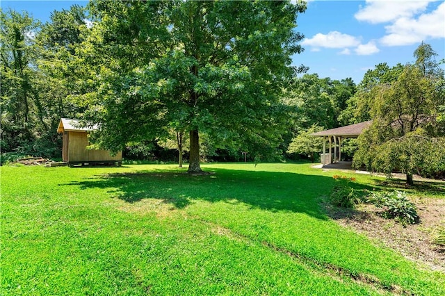 5342 Pleasant Unity Rd, Latrobe, PA 15650 - view of grassy yard with a shed