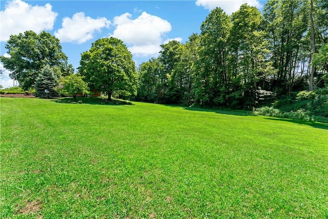 5342 Pleasant Unity Rd, Latrobe, PA 15650 - view of green lawn