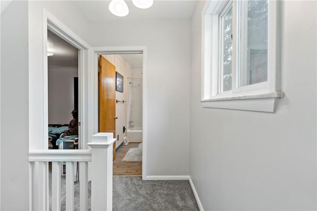 53 Fountain St, Crafton, PA 15205 - corridor with carpet flooring and a chandelier