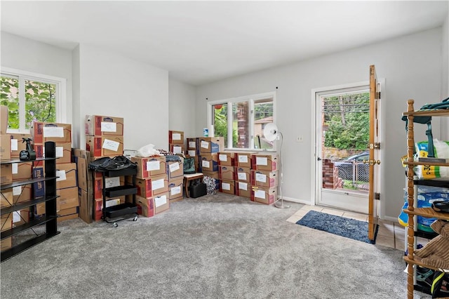 53 Fountain St, Crafton, PA 15205 - office area featuring carpet flooring