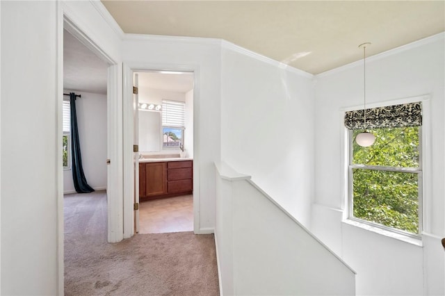301 N Winebiddle St, Garfield, PA 15224 - corridor with light carpet, an upstairs landing, and crown molding