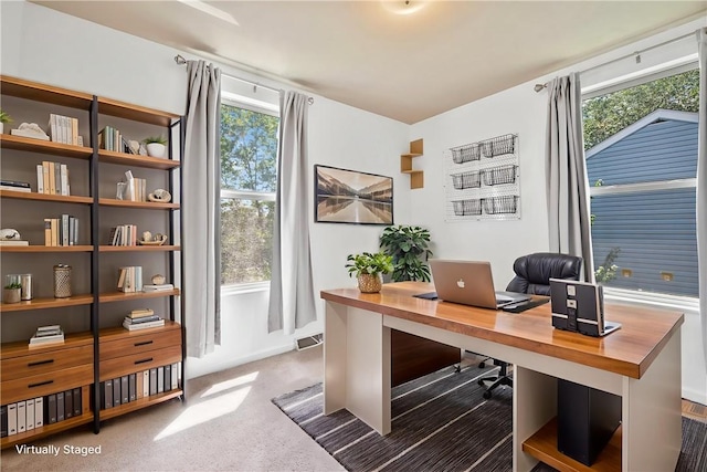 301 N Winebiddle St, Garfield, PA 15224 - office space with carpet flooring