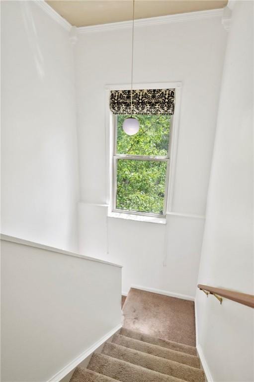 301 N Winebiddle St, Garfield, PA 15224 - stairway featuring crown molding and carpet